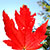 :iconmystholder: