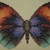 :iconmystic-dragon1: