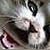 :iconmystic-spirit: