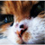 :iconmystical-mike: