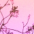 :iconmysticalclub: