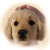 :iconmysticalmoon123: