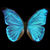 :iconmysticalmurgo: