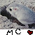 :iconmysticchi: