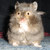 :iconmysticmyth: