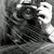 :iconmysticness: