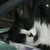 :iconmysticnikk: