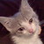 :iconmysticproxy: