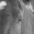 :iconmysticryder:
