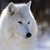 :iconmysticwolf31: