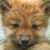:iconmysticwolfproduction: