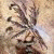 :iconmystiiic: