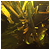 :iconmystikaldesigns: