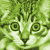 :iconmystikaz: