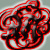 :iconmystofhkn: