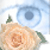 :iconmystryofinsanity: