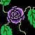 :iconmysunshine805: