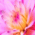 :iconmysweetcitrine: