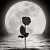 :iconmytearsonthemoon: