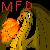 :iconMythicalFireDragon: