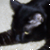:iconmythicartsdescendent: