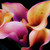 :iconmythousandwords: