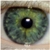 :iconmytysy: