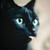 :iconmyuuri-chan: