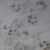 myx-korvine :iconmyx-korvine: