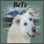 :iconmzbetz: