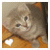 :iconmzelle-il0gik: