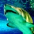 :iconmzholiday: