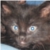 :iconmzklever: