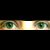 :iconn0bodynoz: