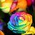 :iconn1n4k4t4r1n4:
