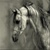 :iconn2stallions: