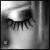 :iconN3WPORT: