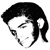 :iconn-panelli: