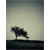 :iconn-t-c: