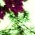 :iconNa-Spoko: