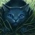 :iconnabikitendo: