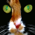 :iconnad2k: