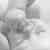 :iconnada-surf: