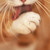 :iconnadiamp13: