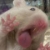:iconnadieshkatears: