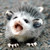 :iconnadika: