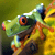 :iconnadine-the-bean: