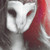 :iconnadinitter: