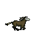 :iconnadipan: