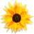 :iconnaewe: